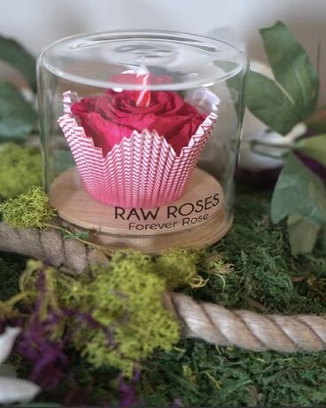Eternal Rose Cupcake